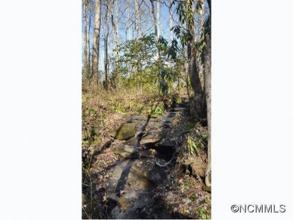 61 CHUKKAR TRAIL - Photo 22