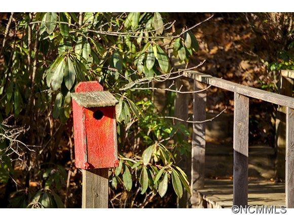 887 Thunder Rd - Photo 3