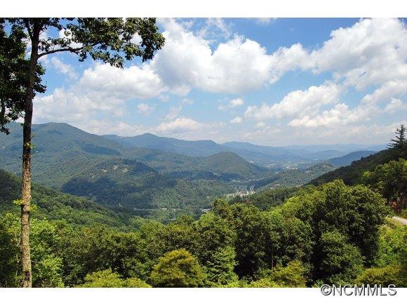 1200 Tawodi Trail - Photo 3