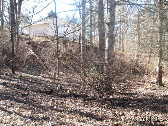 474 Lakey Gap Rd - Photo 9