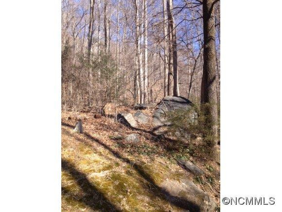 3170 Highway 176 - Photo 12