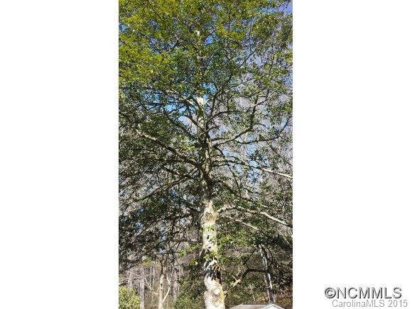 504 Wilson Road - Photo 4