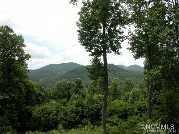 920 Concho Mountain Road - Photo 6