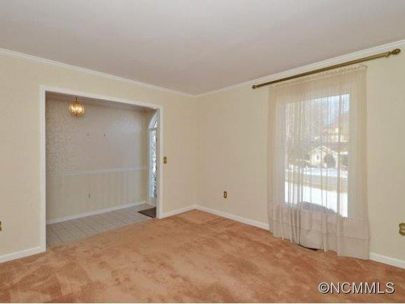 17 AMBER DRIVE - Photo 3