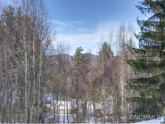 481 CHESTNUT WALK - Photo 2