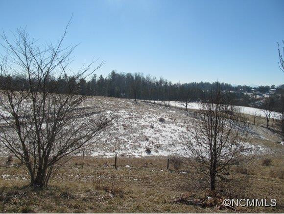 103 Clayton Drive - Photo 3