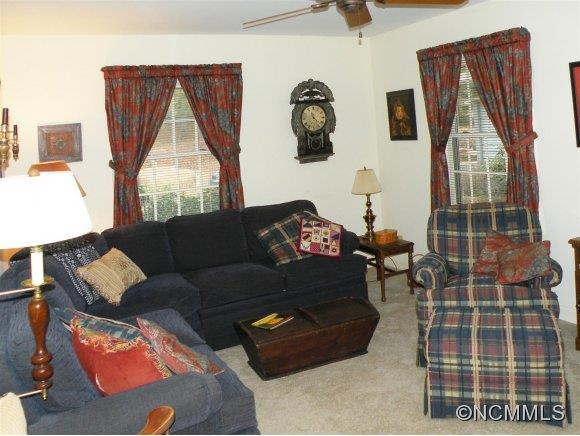 11 Mountain Spring Drive - Photo 10