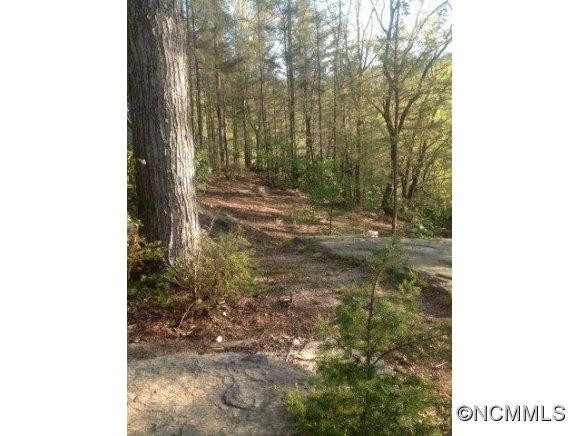 148 Dorset Lane - Photo 3