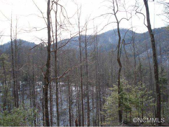 285 Log Cabin Ridge Road - Photo 5