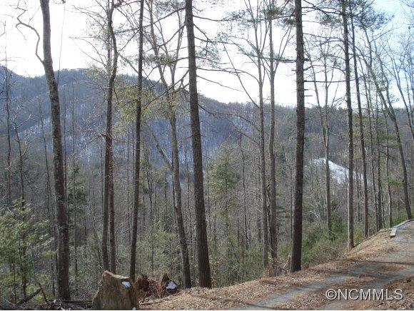 285 Log Cabin Ridge Road - Photo 6