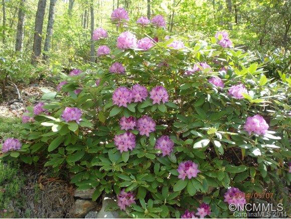 7 Crabapple Lane - Photo 24