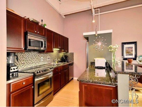 12 S LEXINGTON AVE, UNIT 207 - Photo 5