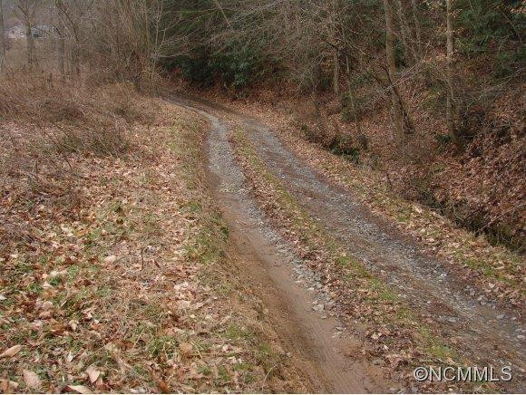 294 Dogwood Drive - Photo 13