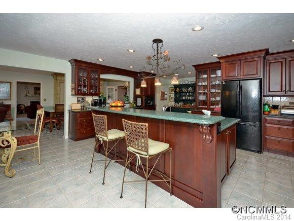 424 Chaparral Lane - Photo 9