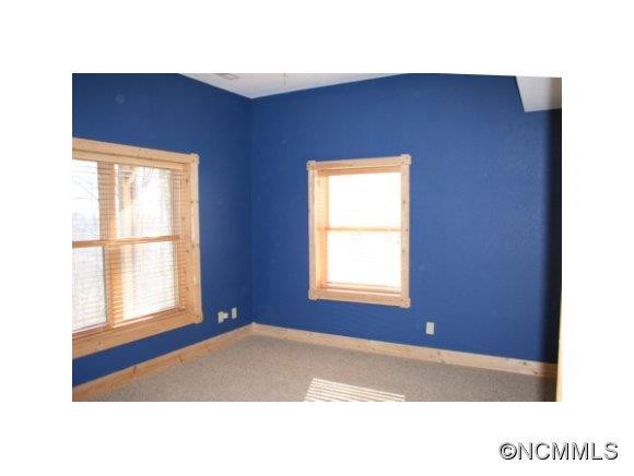 852 Mayapple Lane - Photo 14