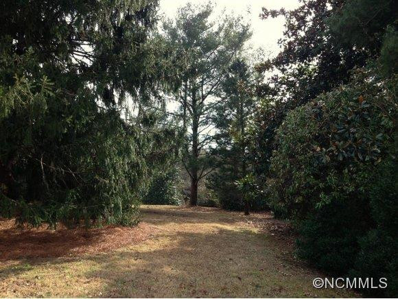 533 Hooper Creek Road - Photo 16