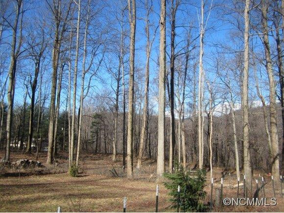 425 Georgia Cliff Road - Photo 10