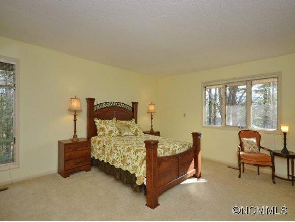 115 WOODHAVEN DRIVE - Photo 15
