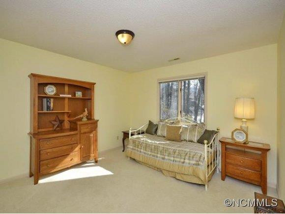 115 WOODHAVEN DRIVE - Photo 21