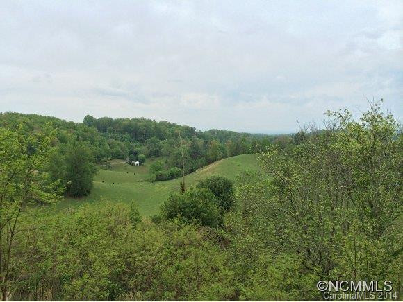 520 Bone Camp Road - Photo 6