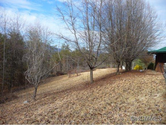 3944 NEW LEICESTER HIGHWAY - Photo 19