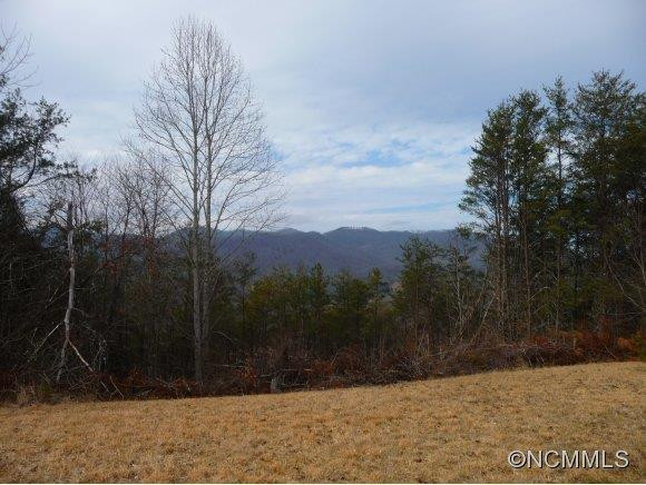 3944 NEW LEICESTER HIGHWAY - Photo 3