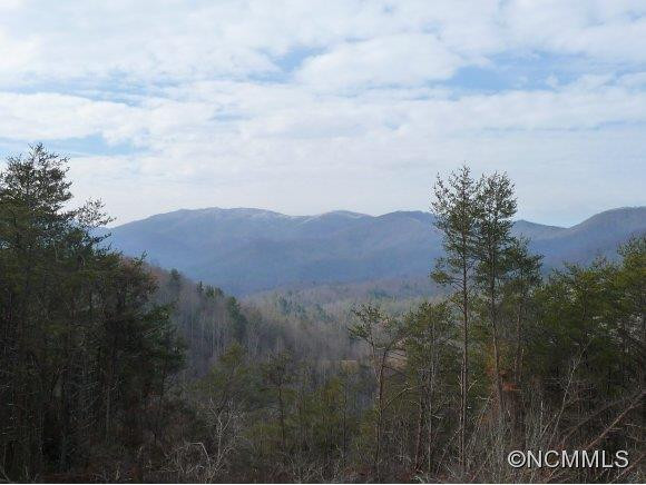 3944 NEW LEICESTER HIGHWAY - Photo 21