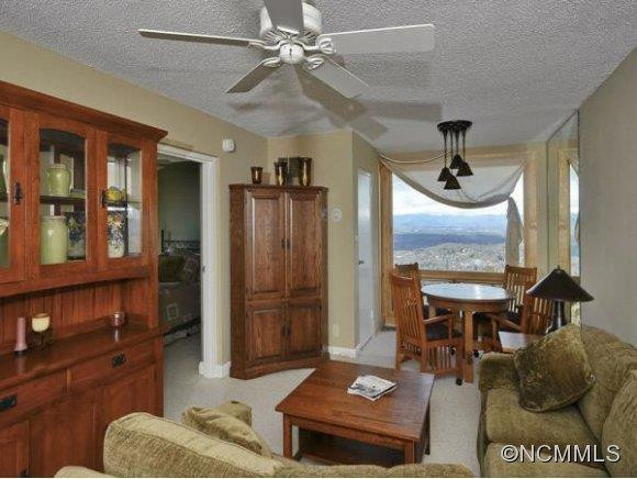 647 TOWN MOUNTAIN RD #612 - Photo 6