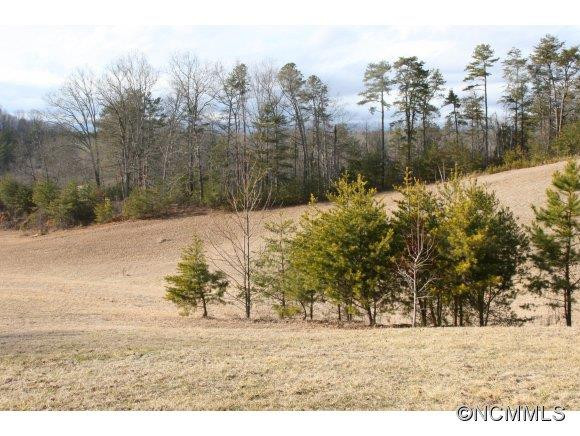1180 Bear Creek Road - Photo 8