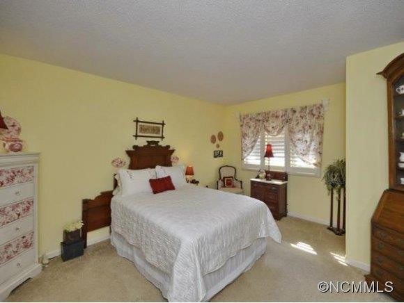 1005 RED OAK DRIVE - Photo 10