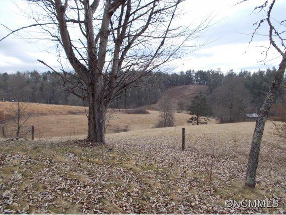120 Old Gibbs Road - Photo 3