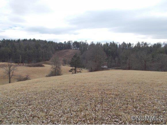 120 Old Gibbs Road - Photo 4