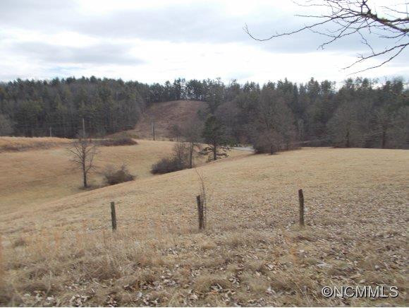 120 Old Gibbs Road - Photo 5