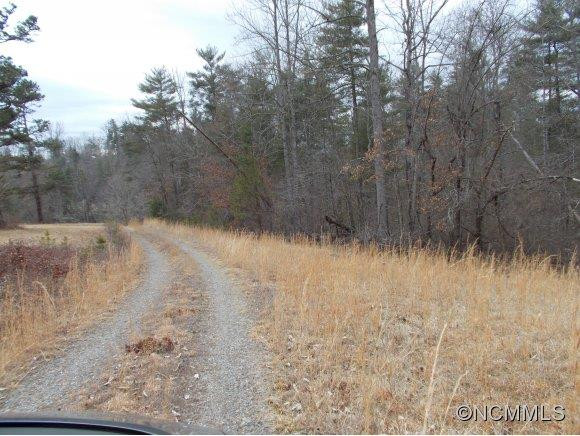 120 Old Gibbs Road - Photo 6