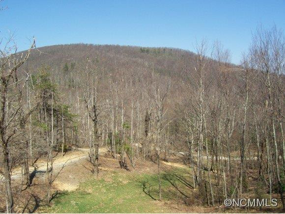 215 Mountain Bluff Trl - Photo 13