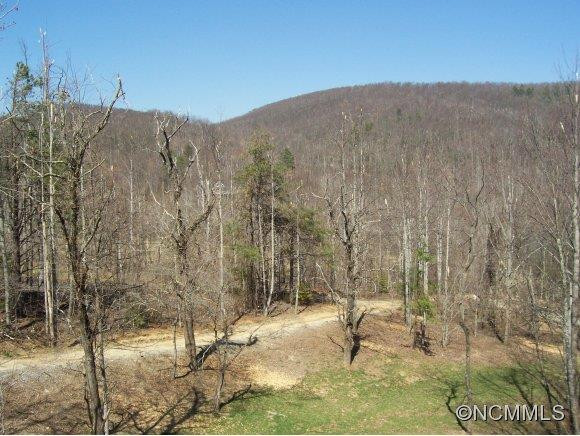 215 Mountain Bluff Trl - Photo 14