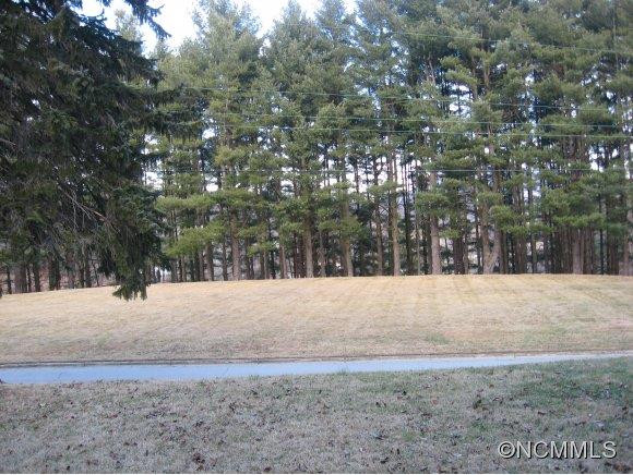 21 Forest View Circle - Photo 20