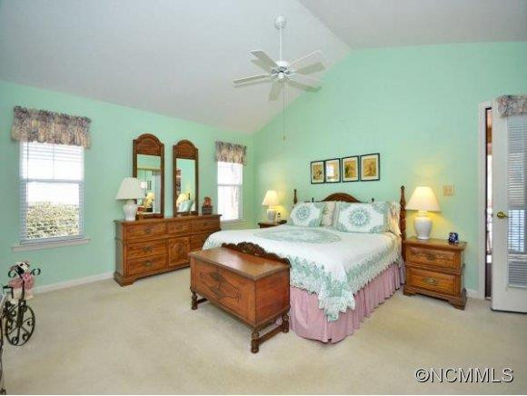17 Gray Wolf Lane - Photo 9