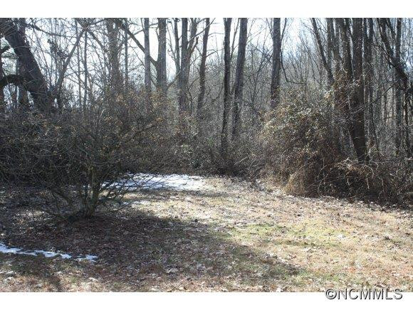 11 RAINBOW RIDGE - Photo 10