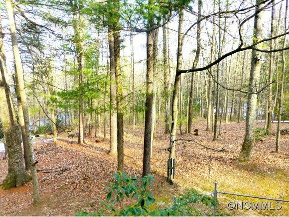 159 Skyline Drive - Photo 4