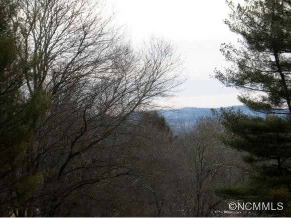 60 Lofty Pine Lane - Photo 13