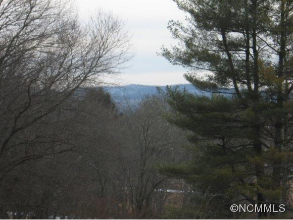 60 Lofty Pine Lane - Photo 15