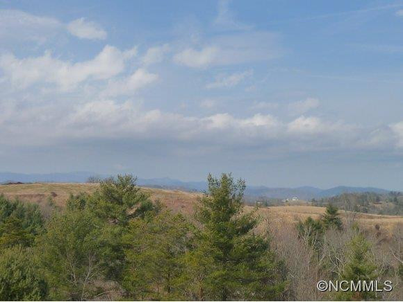 419 HEATHER DOWNS DRIVE - Photo 3