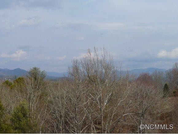 419 HEATHER DOWNS DRIVE - Photo 4