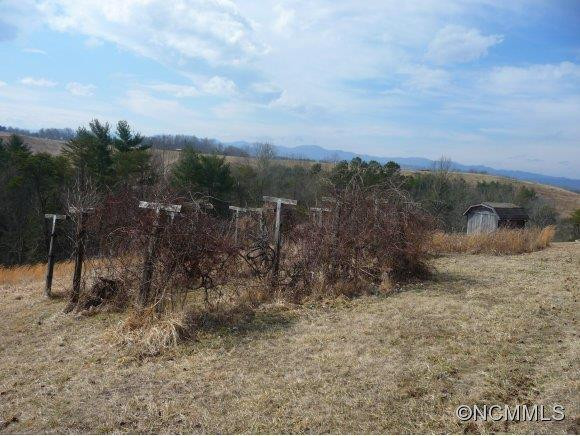 419 HEATHER DOWNS DRIVE - Photo 7