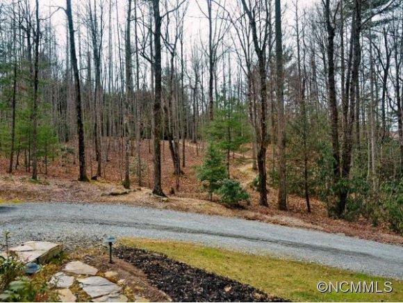 74 OLD LOGGING TRAIL - Photo 24