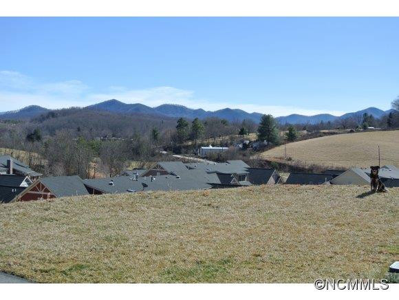 41 Brookstone Place - Photo 2