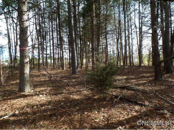 198 Springdale Drive - Photo 24