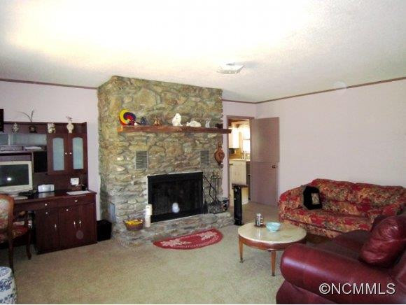 444 Martin Branch Road - Photo 2