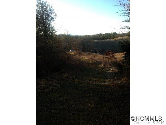 161 Forge Creek Lane - Photo 24